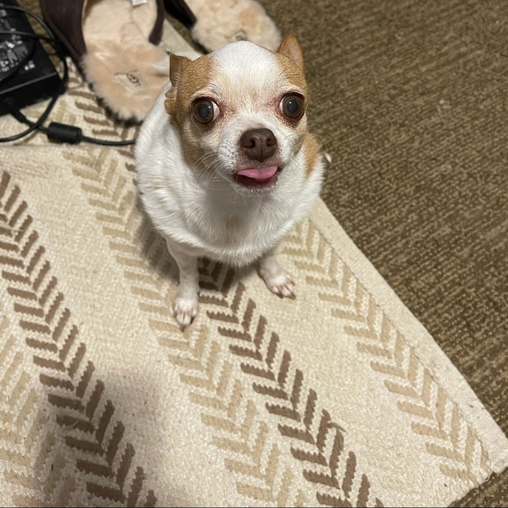 Meet your Posher, Gabriel